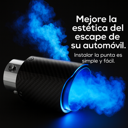 PUNTA DE ESCAPE CARBONO PREMIUM